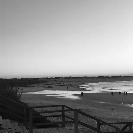 Atlantic Surf *